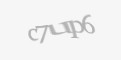 Защитный код